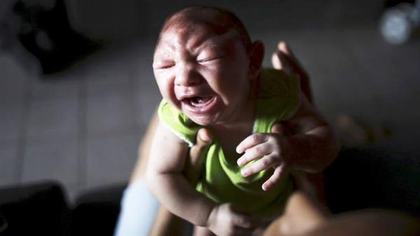 科學家攻克Zika病毒 高中生攜3D打印來幫忙
Zika病毒,3D打印醫療行業,3D打印材料價格,3D打印技術,3D打印材料,3D打印成本,3D打印價格